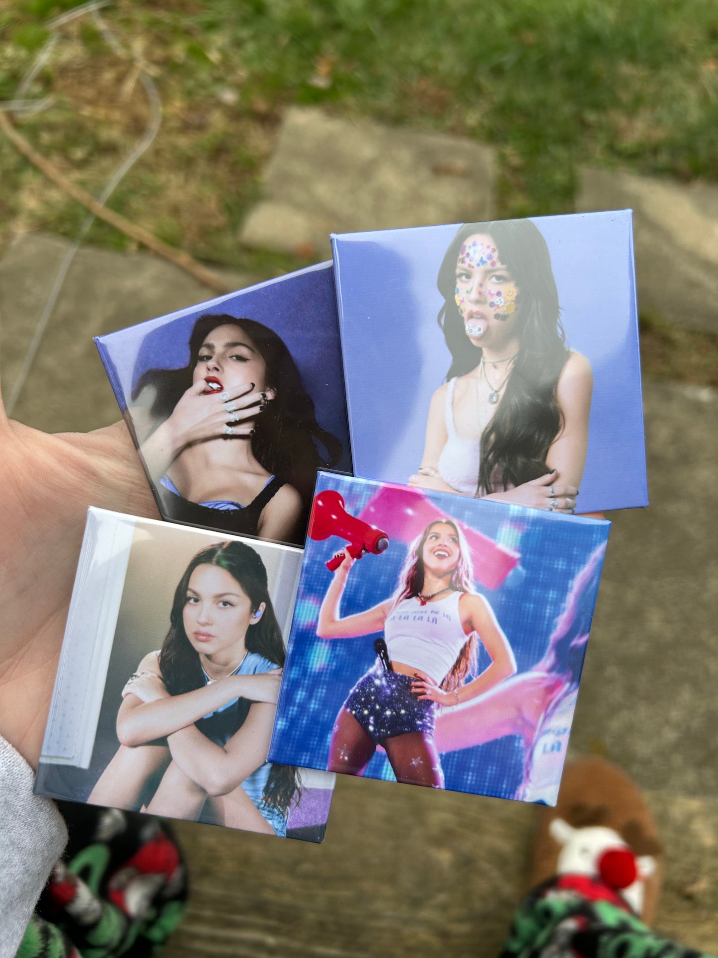 Olivia Magnets 7/9 BD TAT