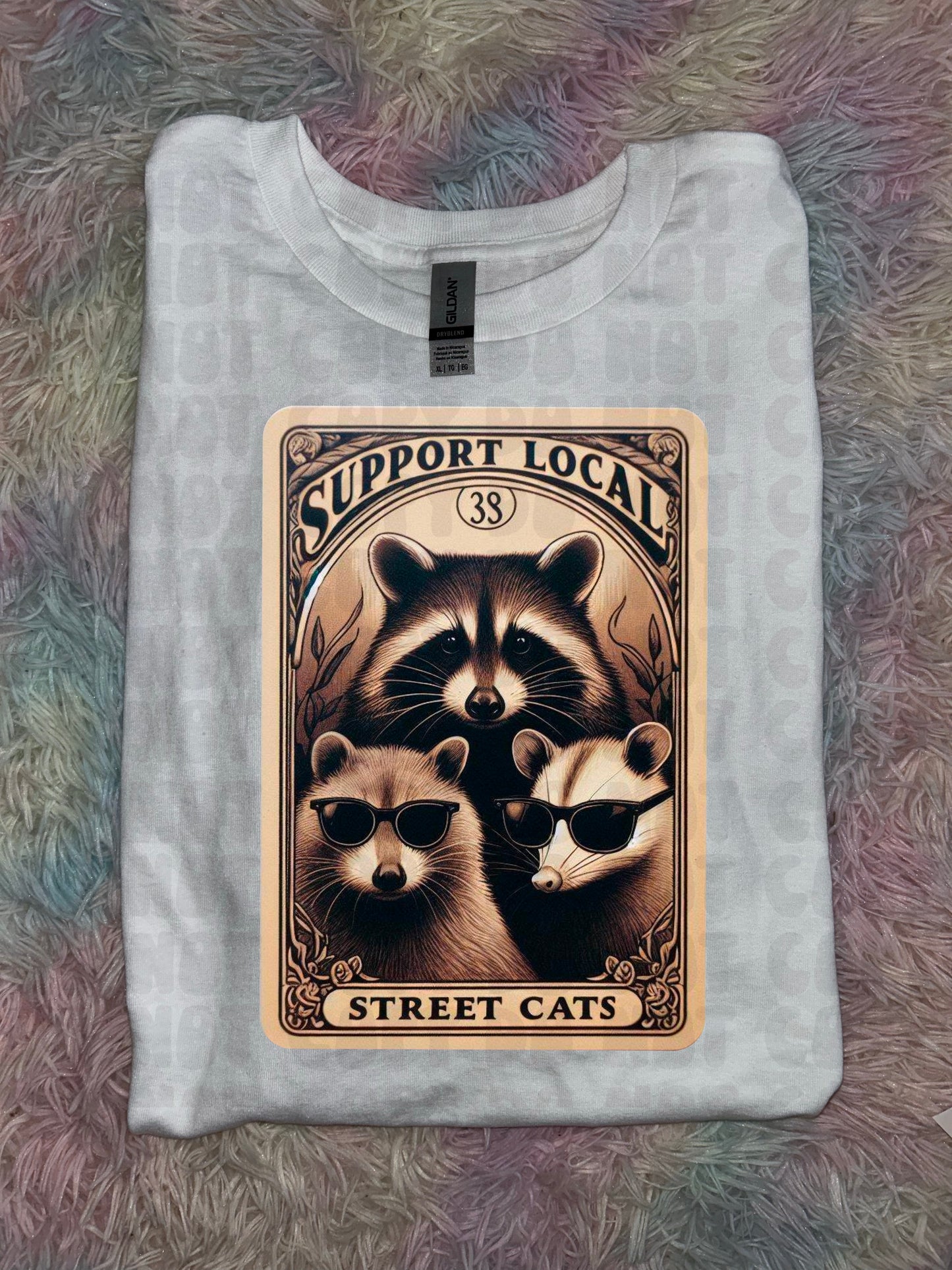 Street Cats PREORDER