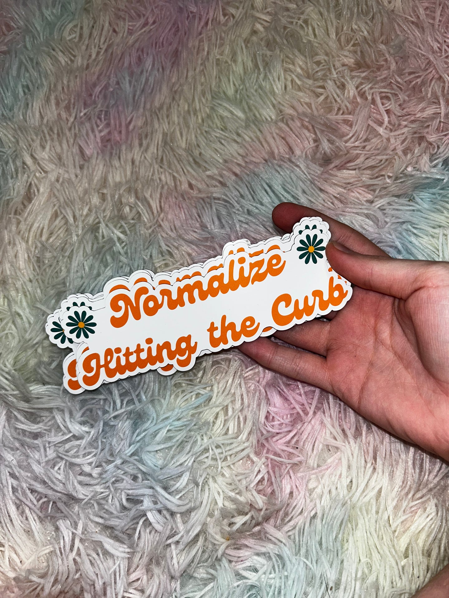 Normalize Hitting The Curb Car Magnet RTS