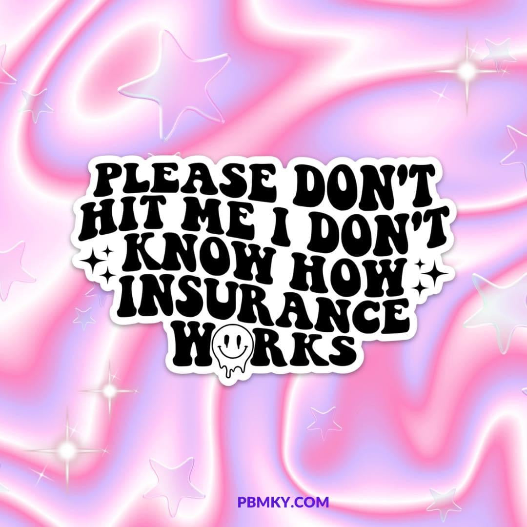 Please Don’t Hit MeCAR MAGNET
